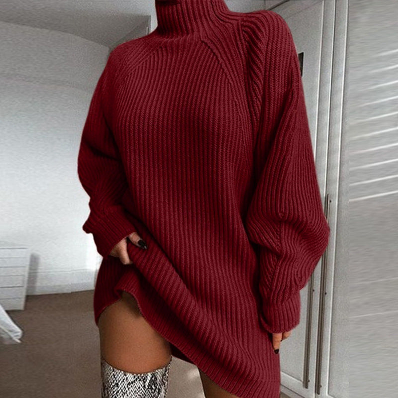 Warm Turtleneck Sweater Dress, Long Solid Color Winter Knit
